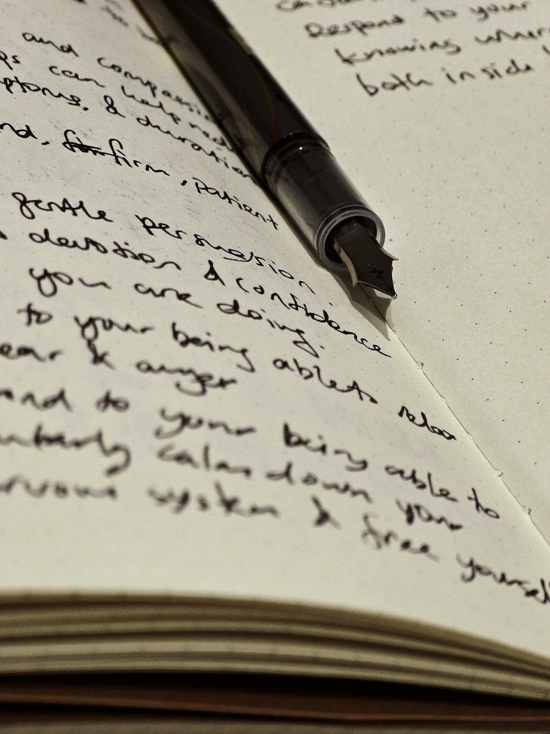 Eine Füllfeder liegt auf einem geöffneten Notizbuch mit Handschrift.